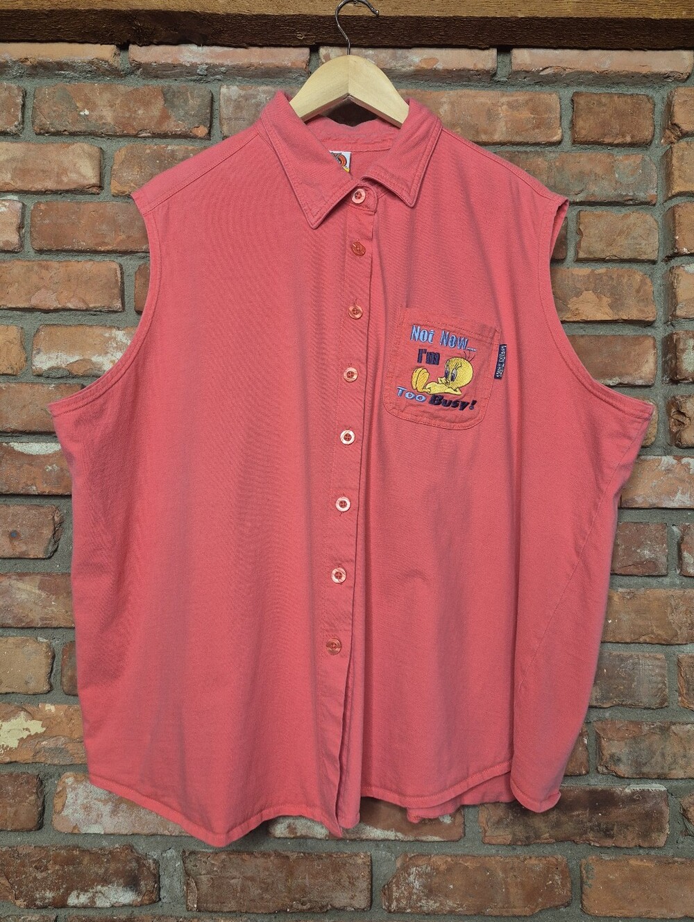 Looney Tunes Vintage 2002 Tweety Bird Embroidered Button Down Tunic Y2K Shirt